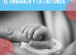 Leyes embarazo y lactancia en Perú