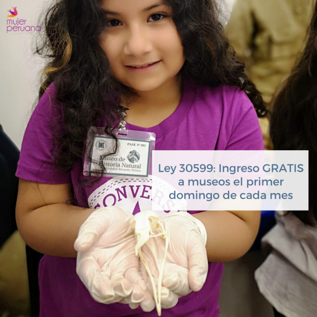 ingreso gratis a museos