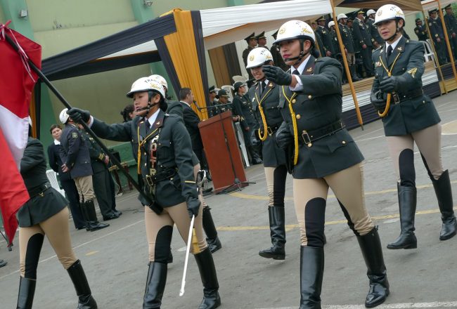 Descanso Pre y Post Natal para Mujeres de la Policía y Fuerzas Armadas del Perú